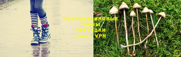 эйфоретик Алексин