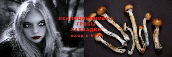 эйфоретик Алексин