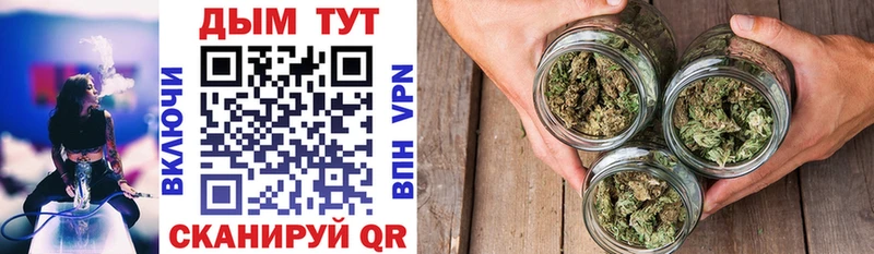 mega вход  Белоозёрский  Бошки Шишки OG Kush  закладки 